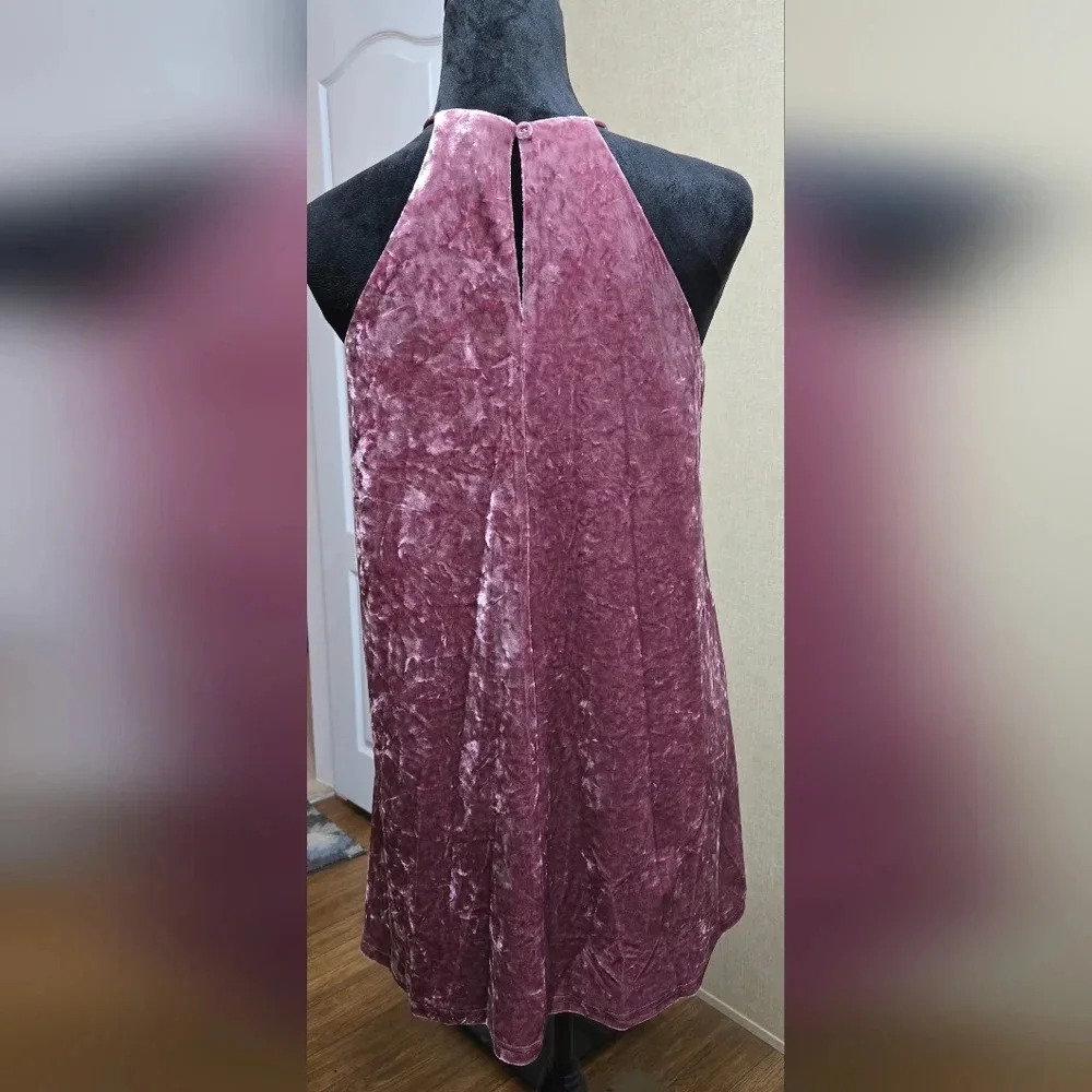 LAST ONE!! Super Soft Velvety Mini Dress #340-341 - Picture 6 of 12